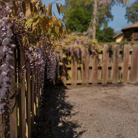 Locarmel בית נופש